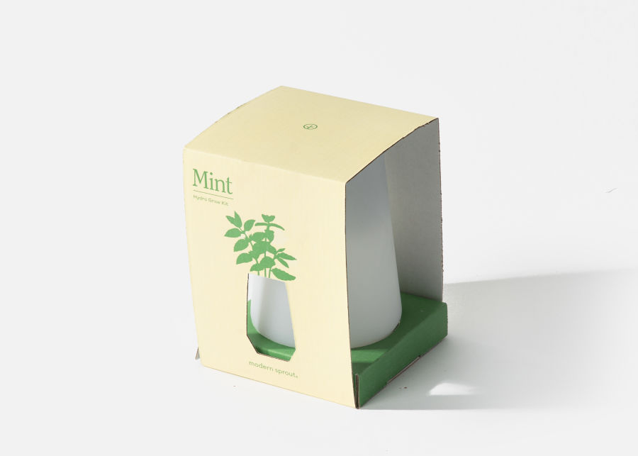 Full View of Mint Grow Kit image number 0